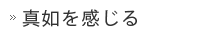真如を感じる